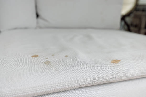 coffee stains in white sofa seat