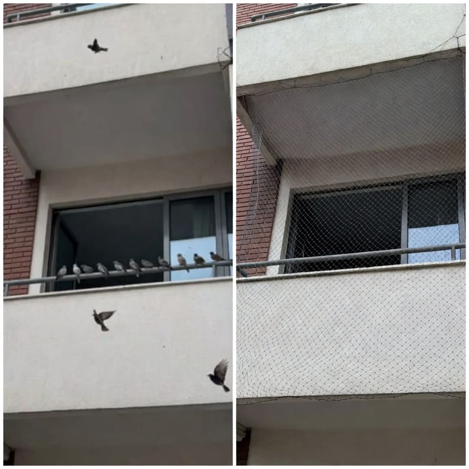 Pigeon Net Installation Service Kathmandu