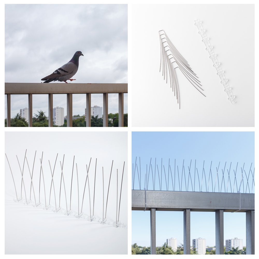 Bird Spikes Installation Service in Kathmandu